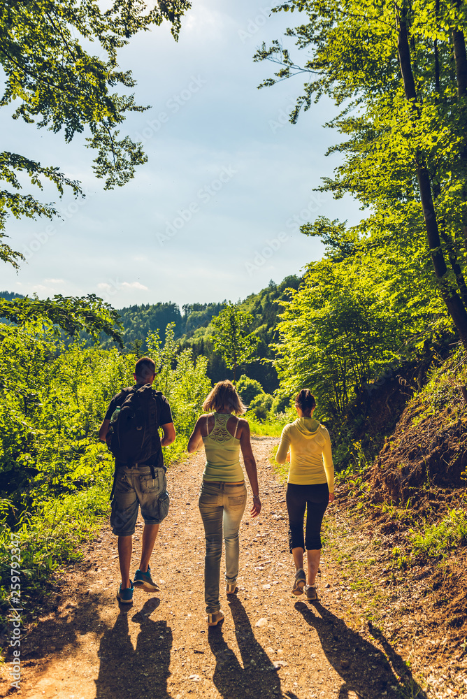 View from behind following young people walking through the forest on hiking path View from behind following young people walking through the forest on hiking path