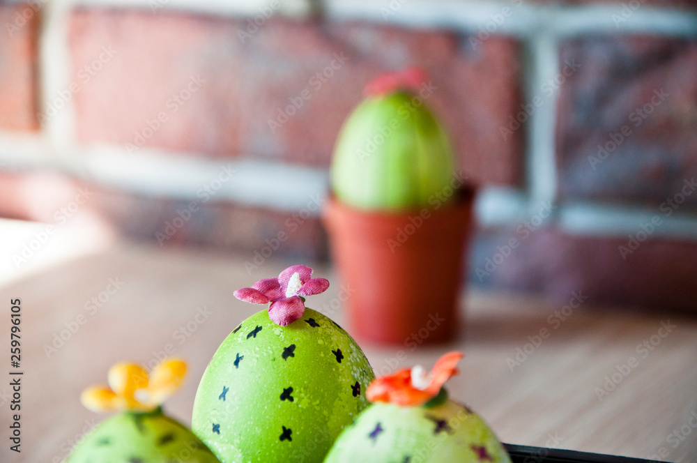 Easter egg. Green life. Flower shop. DIY handmade. Painted egg. Egg hunt. Cooking. Unusual idea. Spring seedlings. Greenhouse. Cactus blooming. Happy easter. natural dye. Think green. Live brightly