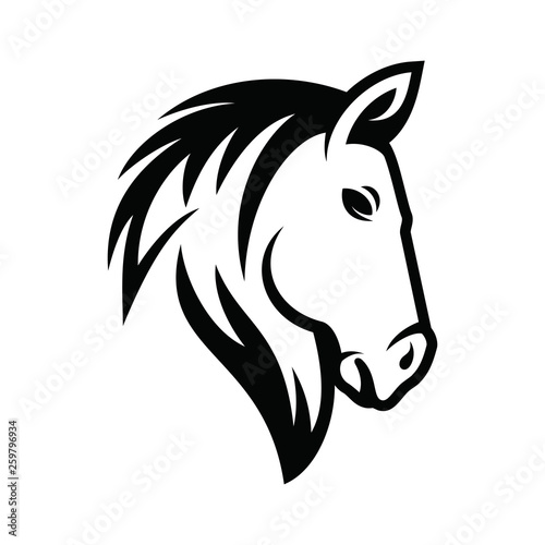 Fototapeta Naklejka Na Ścianę i Meble -  Elegance head horse Silhouette Design logo Icon - Vector