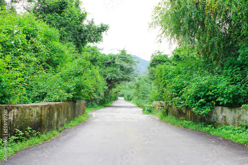 path in park