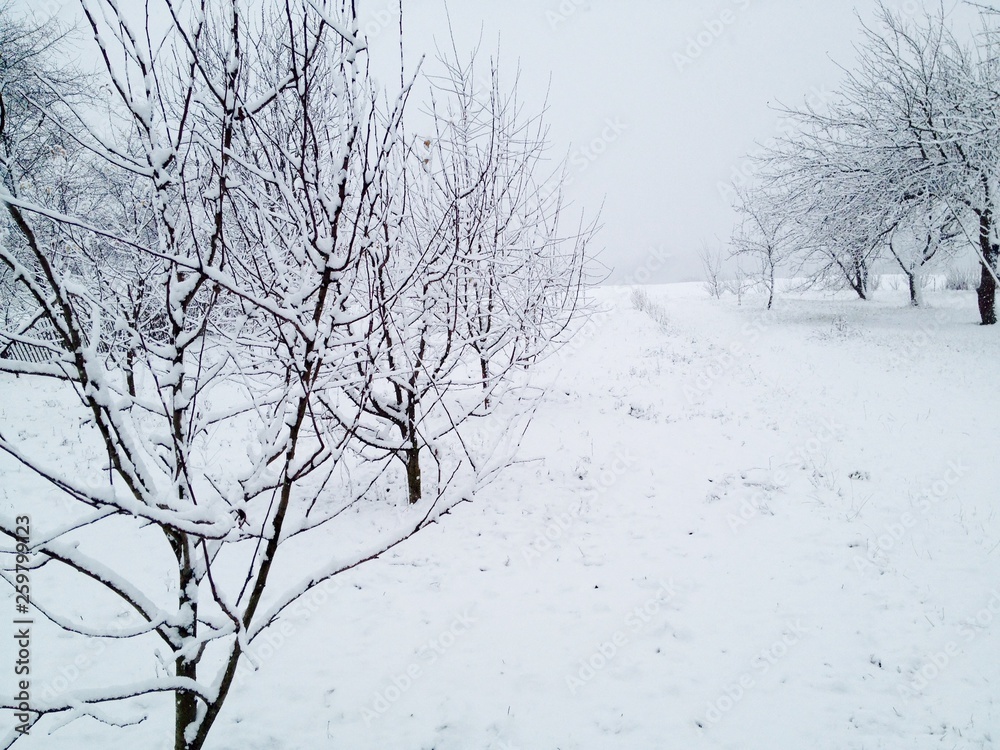 Fototapeta premium winter-time