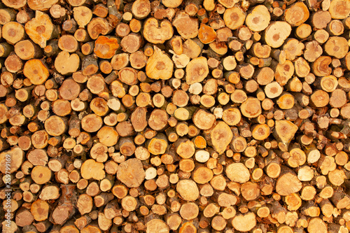 Wooden background. Firewood stack for the background. A lot of cutted logs. Stack of sawn logs. Natural wooden decor background. Pile of chopped fire wood prepared for winter.
