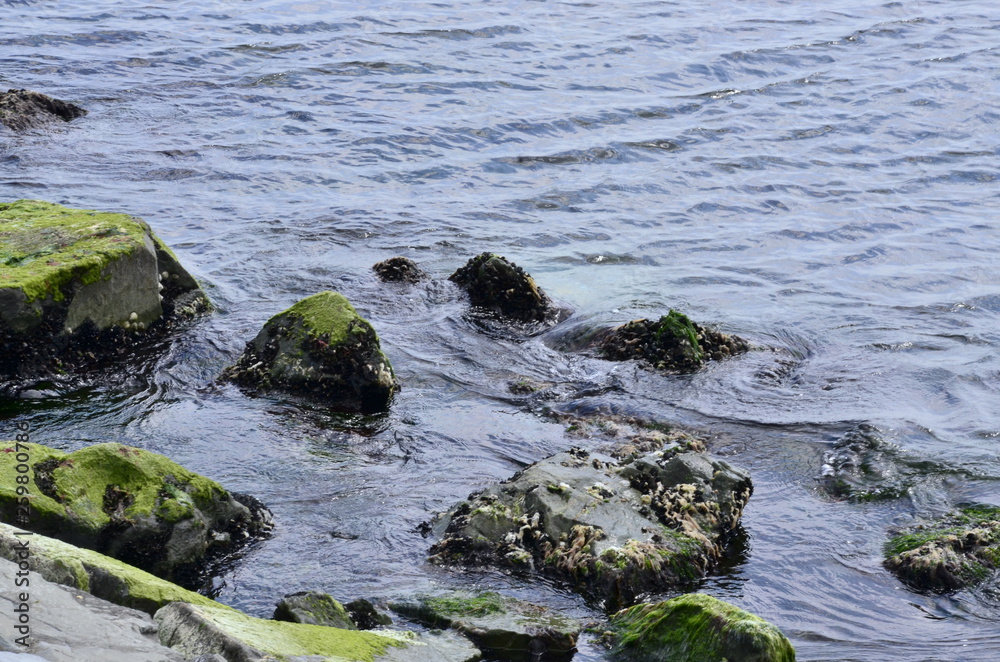 rocks in the sea