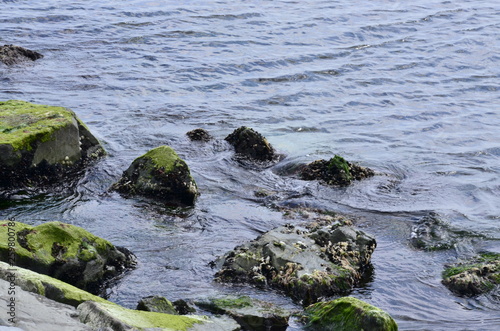 rocks in the sea © Moralli