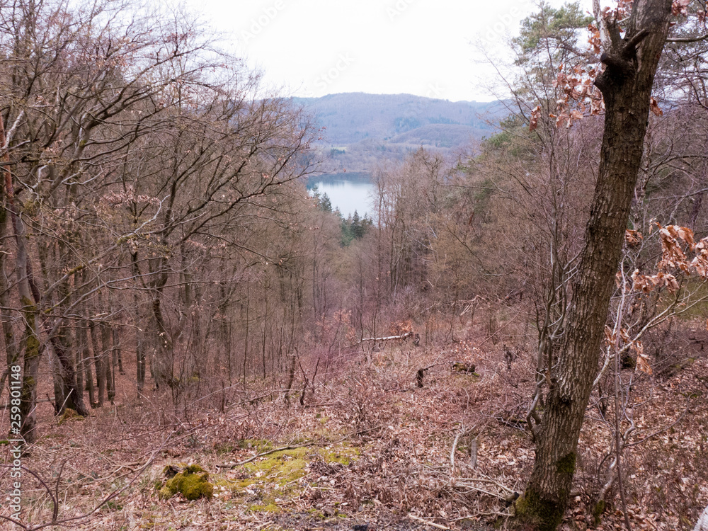 Nationalpark Kellerwald im Frühling mit Blick auf den Edersee. Nationalpark Kellerwald im Frühling mit Blick auf den Edersee.