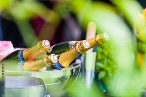 Multiple bottles of champagne in silver bowl in garden photo