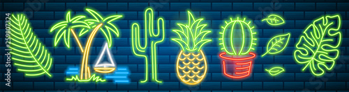 Set of fashion neon sign. Cactus and pineapple, tropical plants, palm trees and leaves. Night bright signboard, Glowing light banner. Summer logo for Club or bar on dark background. Editable vector.