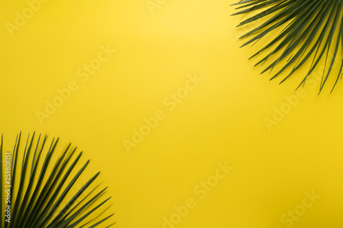 palm leaf on a yellow background. minimalilm, top view, summer concept
