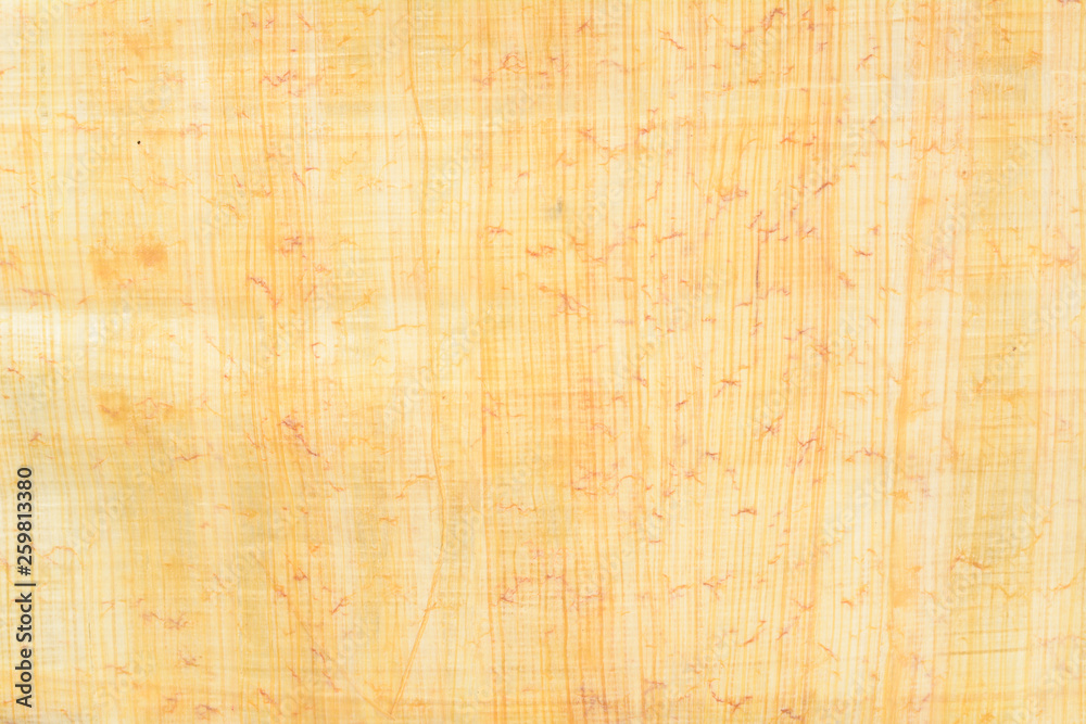 Real Egypt papyrus paper background and texture number 15. Close up macro. Real Egypt papyrus paper background and texture number 15. Close up macro.
