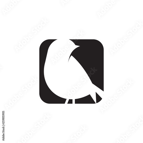 Bird logo icon vector template