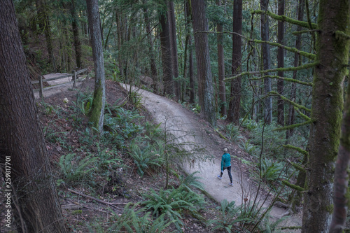 wildwood trail in Portland
