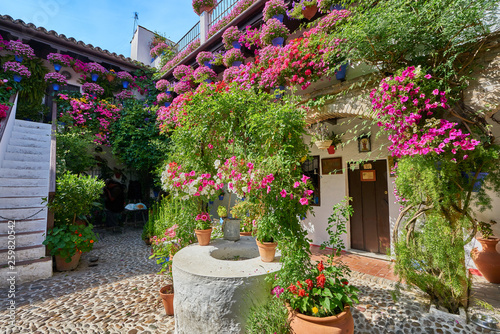 Flowers at Cordoba´s courtyards, Spain