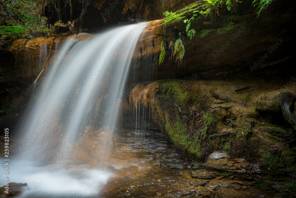 Obraz premium Perfect Waterfall - Big Basin State Park, Santa Cruz Mountains, California