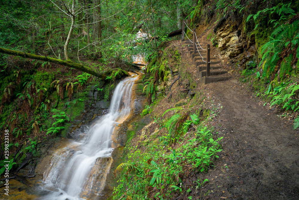 Hiking Trail Steps & Lower Golden Cascade Falls - Big Basin State Park, Santa Cruz Mountains Hiking Trail Steps & Lower Golden Cascade Falls - Big Basin State Park, Santa Cruz Mountains