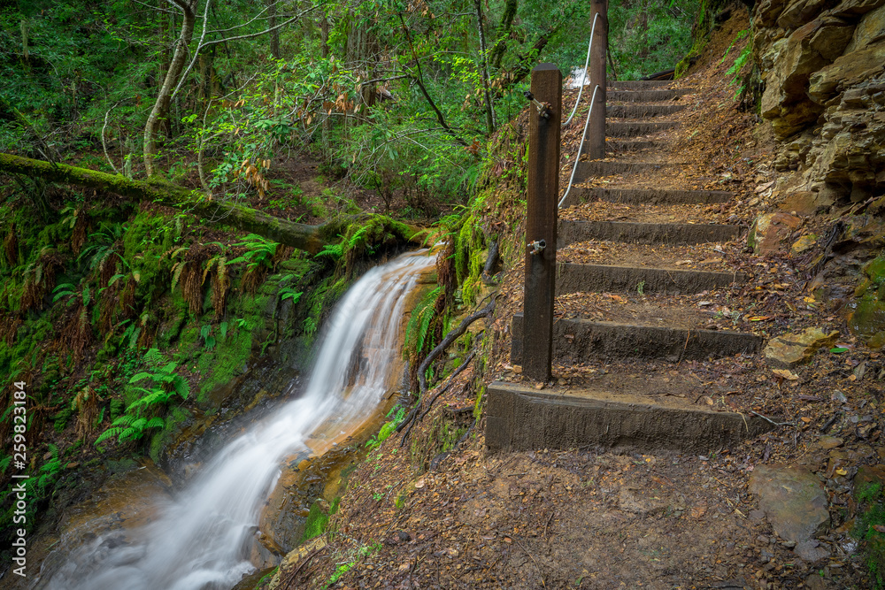 Hiking Trail Steps & Lower Golden Cascade Falls - Big Basin State Park, Santa Cruz Mountains Hiking Trail Steps & Lower Golden Cascade Falls - Big Basin State Park, Santa Cruz Mountains