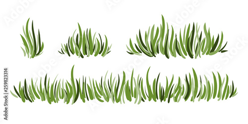 Hand drawn green grass set isolated on white background. Horizontal borders.