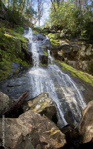 Fototapeta Naklejka Na Ścianę i Meble -  Henwallow Falls - Great Smoky Mountains National Park - Maddron Bald Trail - 
