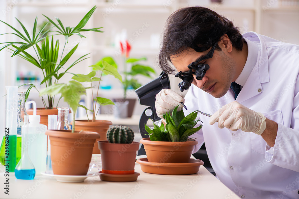 Biotechnology chemist working in lab Biotechnology chemist working in lab