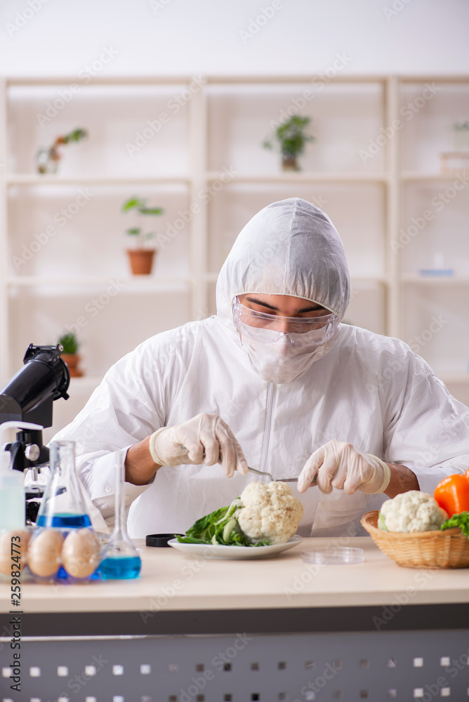 Scientist working in lab on GMO fruits and vegetables Scientist working in lab on GMO fruits and vegetables