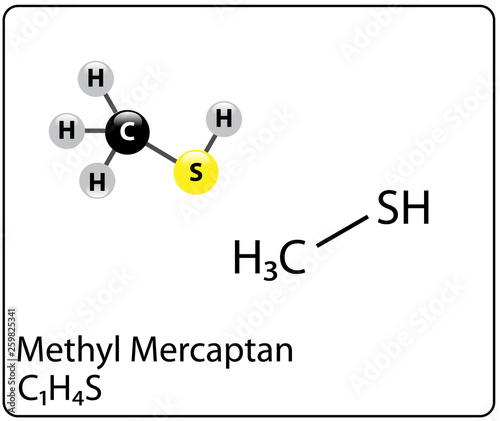 Methyl Mercaptan Molecule Structure