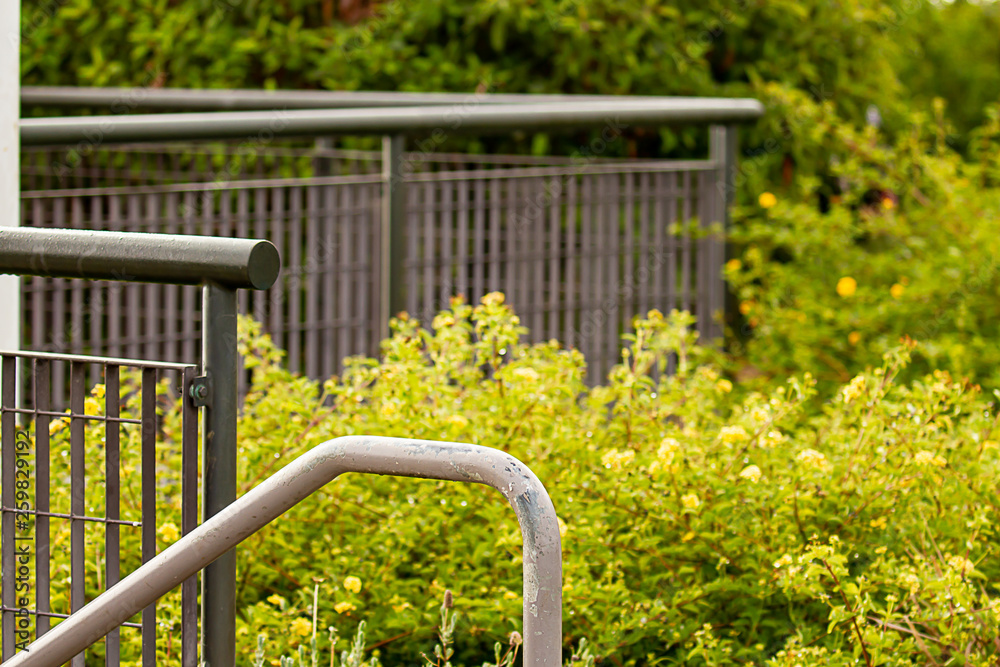 stairway railing with plants and bushes. in silver stairway railing with plants and bushes. in silver