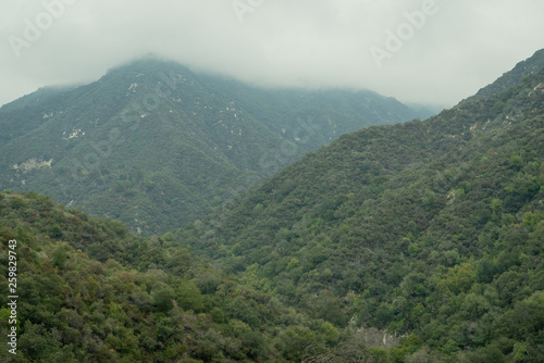Tree covered mountains reaching up and disappearing into low clouds in Southern California