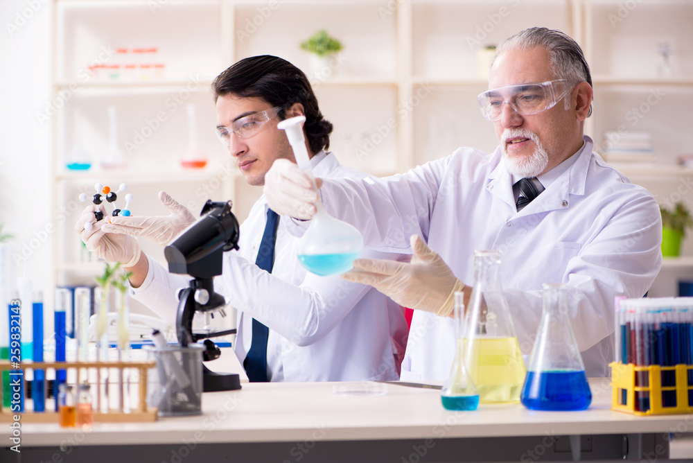 Two chemists working in the lab Two chemists working in the lab