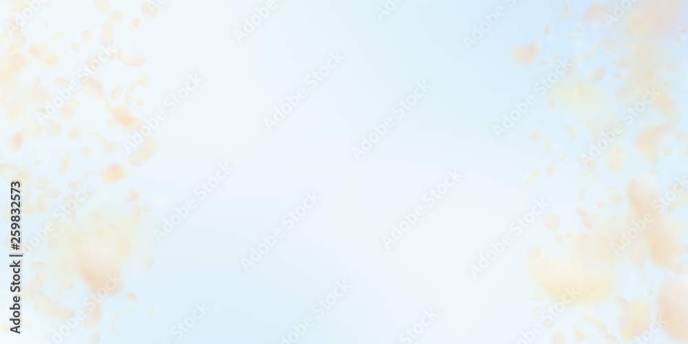 Yellow orange flower petals falling down. Emotiona Yellow orange flower petals falling down. Emotiona