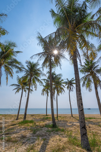 Palm trees on a beach. The old fishing houses on stilts turquoise sea. © ANDREI