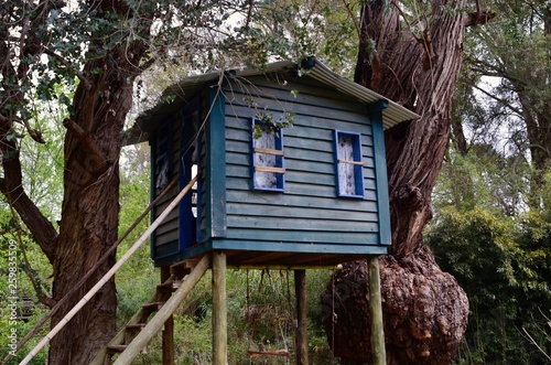 Treehouse
