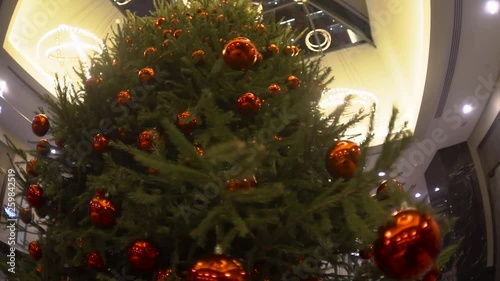 Green spruce adorned with beautiful red balls