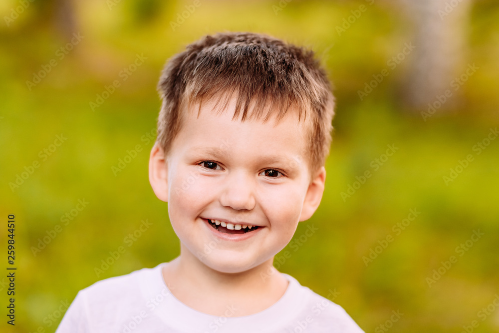 the five-year child smiling on blurred background the five-year child smiling on blurred background