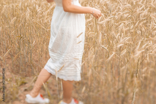 Fototapeta Naklejka Na Ścianę i Meble -  Close-up of feet walking on the golden wheat at sunny day. Enjoying nature. Beautiful girl in the rays of sunlight. Sunlight.