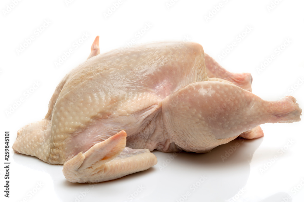 raw chicken on white background raw chicken on white background