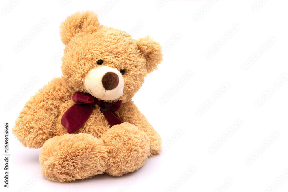 Brown teddy bear isolated on white background.