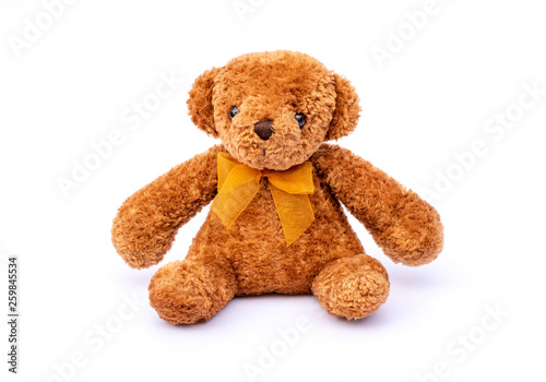 Brown teddy bear isolated on white background.