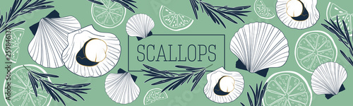 Shellfish and seafood restaurant or fishery product market banners template. Scallops banner vector template. Hand drawn illustration on green background