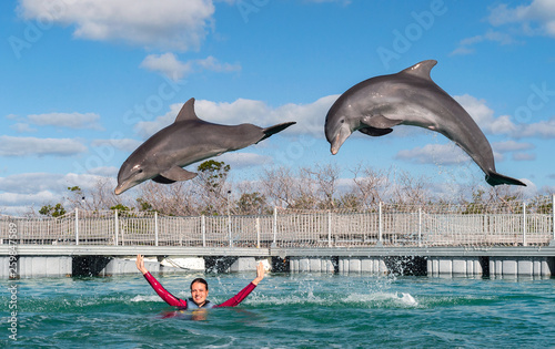 Canvas Print Jumping dolphins. Woman  swimming with dolphins in blue water.