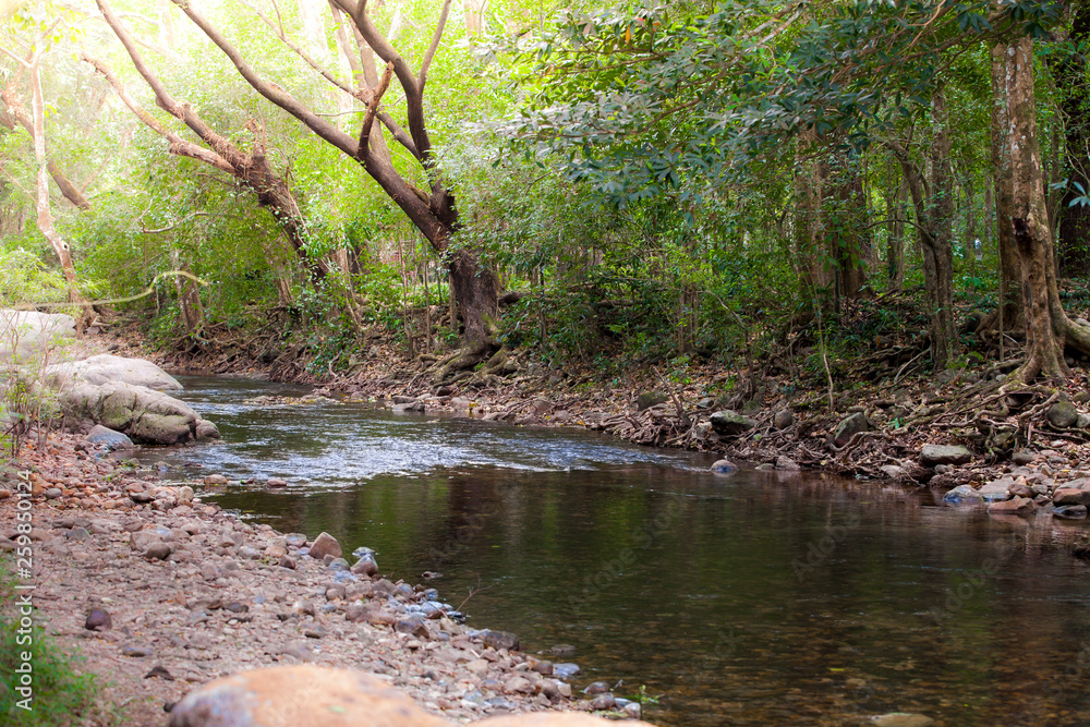 Onsen water source From the forests in the mountains of northern Thailand Onsen water source From the forests in the mountains of northern Thailand