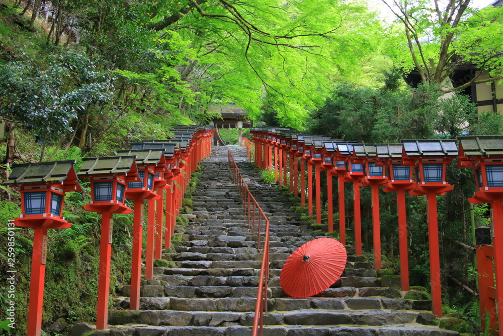 Kifune shrine(貴船神社）