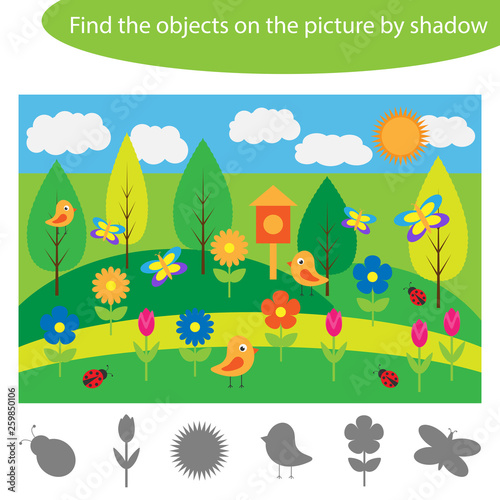 Find the objects by shadow  summer game for children in cartoon style  education game for kids  preschool worksheet activity  task for the development of logical thinking  vector illustration