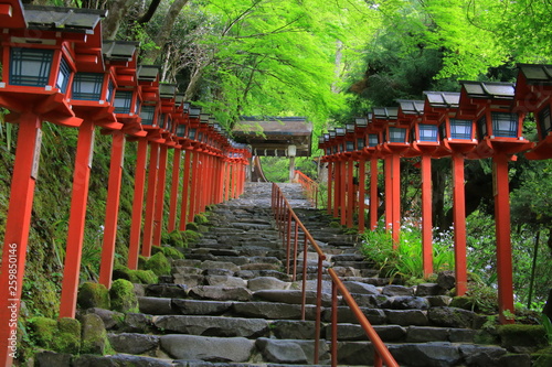 Kifune shrine                