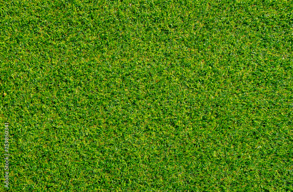 Obraz premium Green decoration artificial grass use for sport background.
