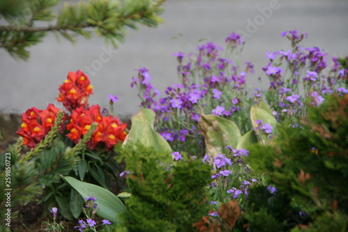 Wallpaper Mural Garten Torontodigital.ca