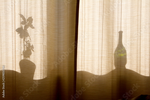 the shadow of the flower in the window through the curtains