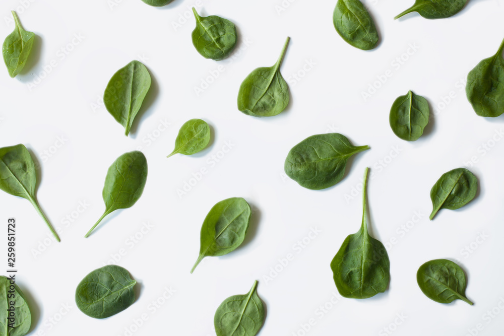 background,color,cuisine,delicious,design,diet,eat,food,fresh,freshness,grass,green,health,healthy,ingredient,isolated,leaf,leaves,nature,nutrition,organic,pattern,plant,raw,salad,spice,spinach,studio background,color,cuisine,delicious,design,diet,eat,food,fresh,freshness,grass,green,health,healthy,ingredient,isolated,leaf,leaves,nature,nutrition,organic,pattern,plant,raw,salad,spice,spinach,studio