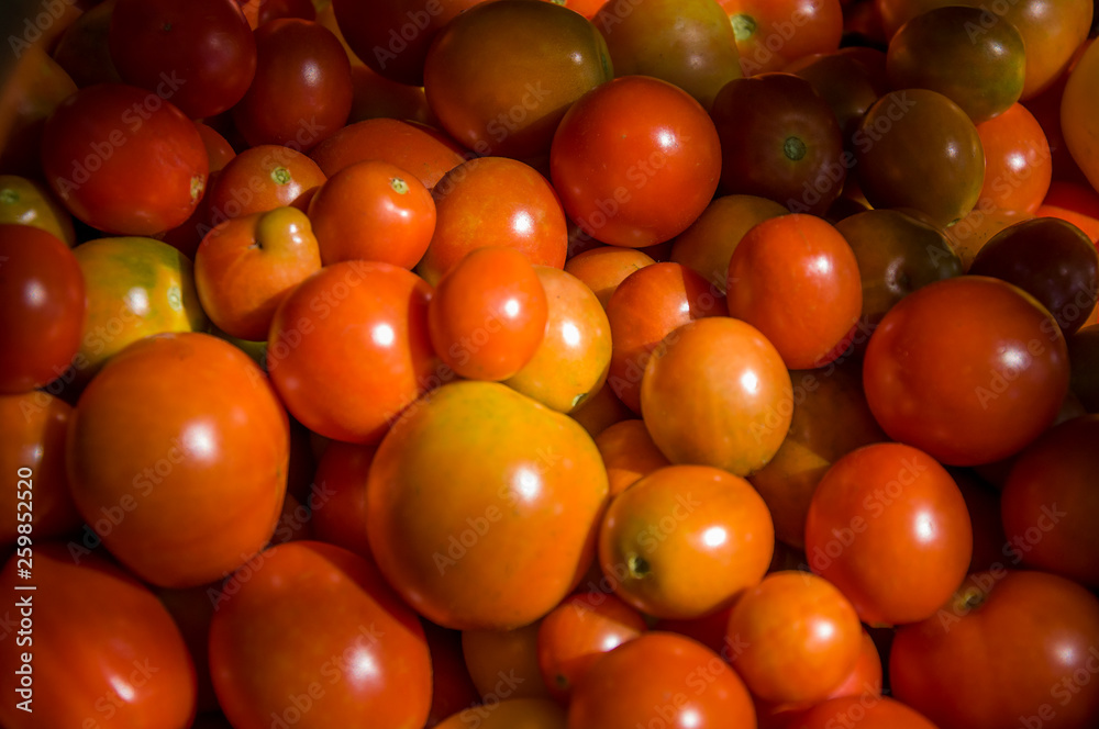 Many ripe red and yellow tomatoes on the wood table. Vegetables. Background