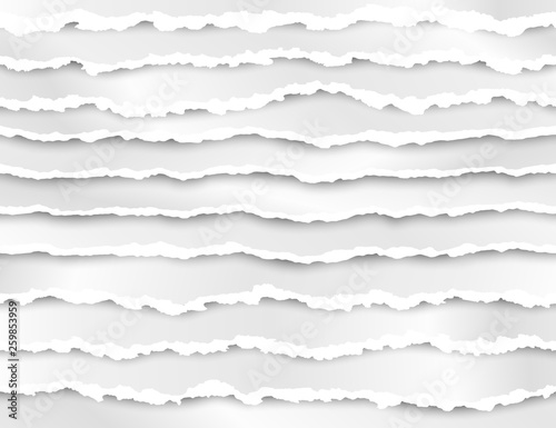 Set of torn paper stripes. Abstract paper texture with damaged edge. Vector illustration isolated on transparent background © Ihor