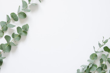 Eucalyptus leaves on white background. Flat lay, top view, copy space