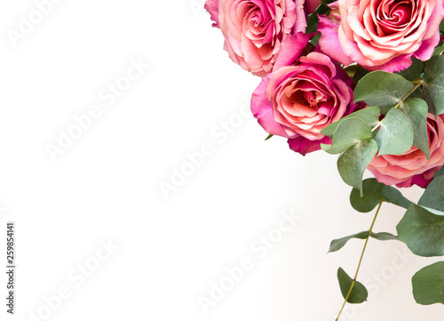 Flowers composition. Roses flowers and branch eucalyptus on white background. Top view, copy space. - Image © ireneromanova